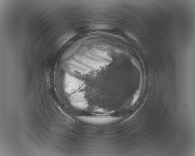 X0000080731305200701021109