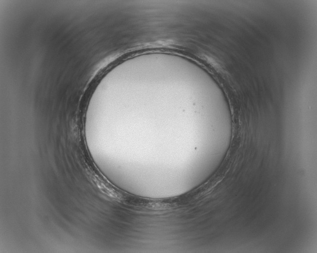 X0000080731308200701021110