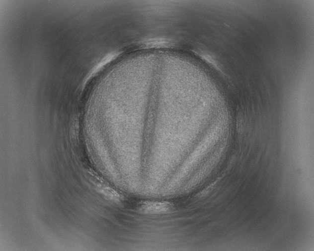 X0000080731309200701021110