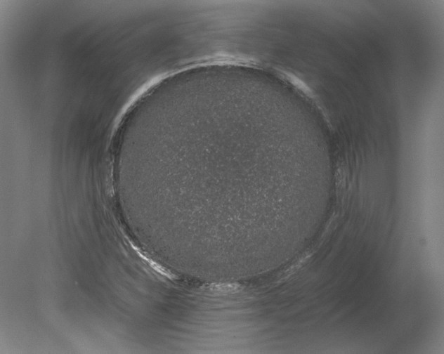 X0000080731310200701021110