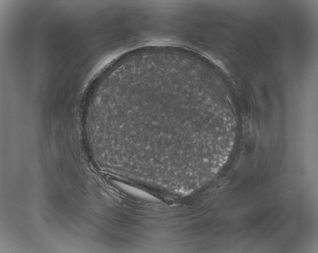 X0000080731311200701021110