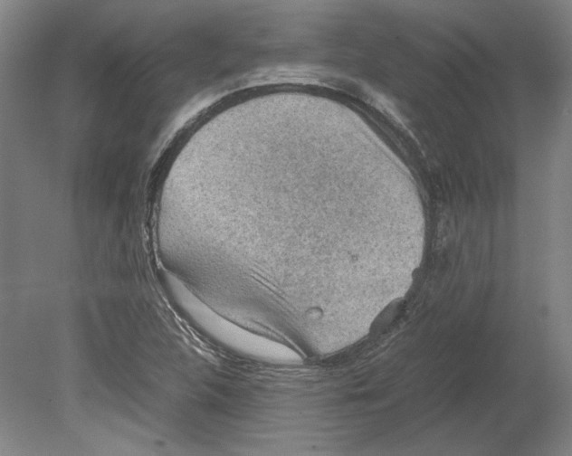 X0000080731312200701021110