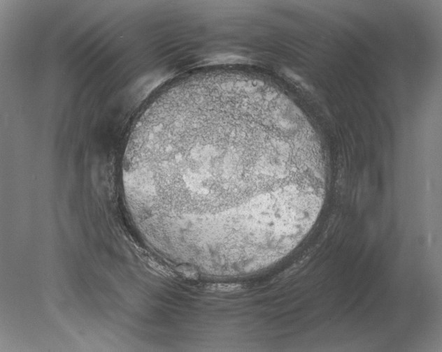 X0000080731313200701021110