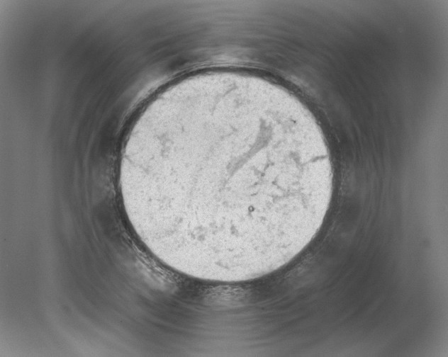 X0000080731314200701021110