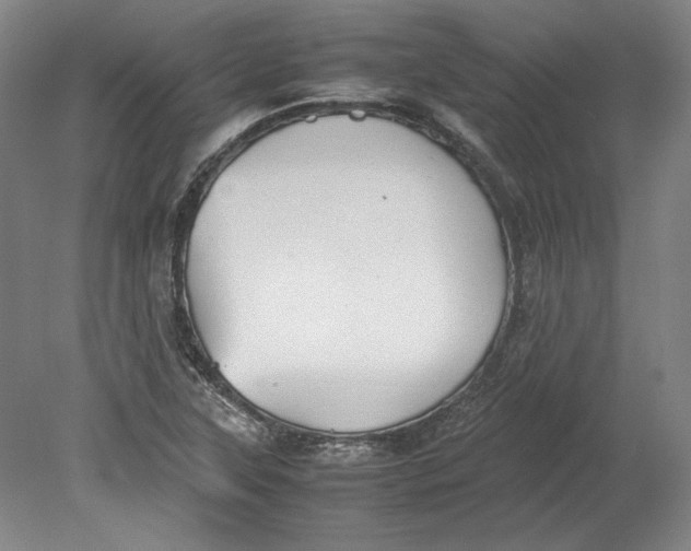 X0000080731315200701021110