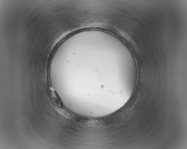 X0000080731316200701021110