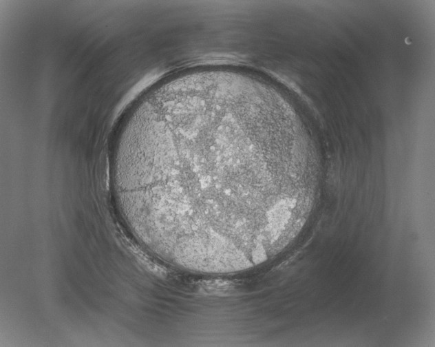 X0000080731317200701021110