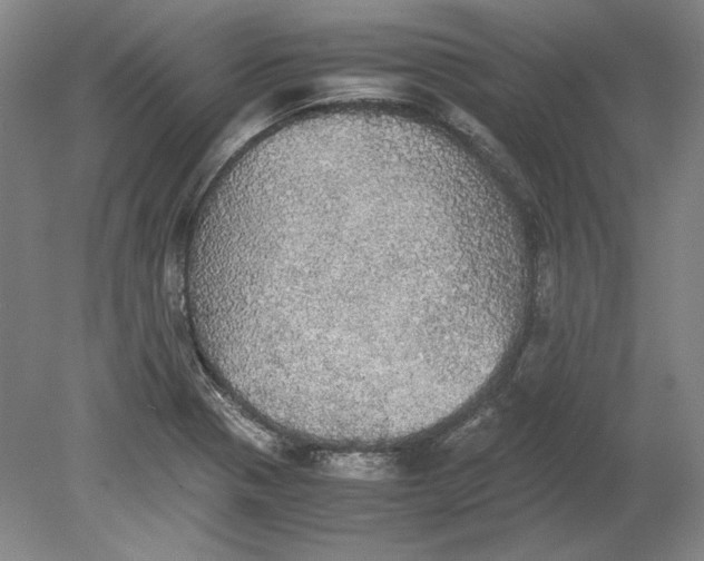 X0000080731321200701021110