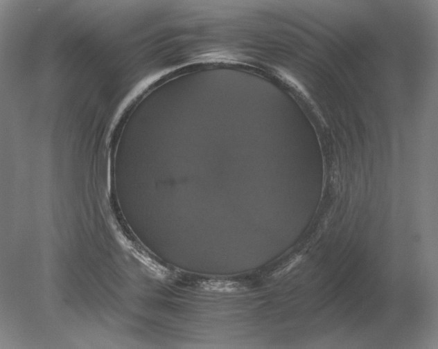 X0000080731323200701021110