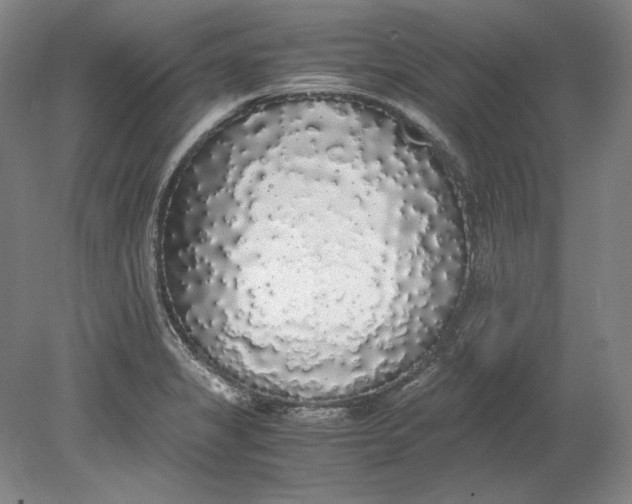 X0000080731325200701021110