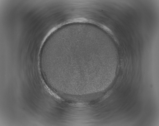 X0000080731326200701021110