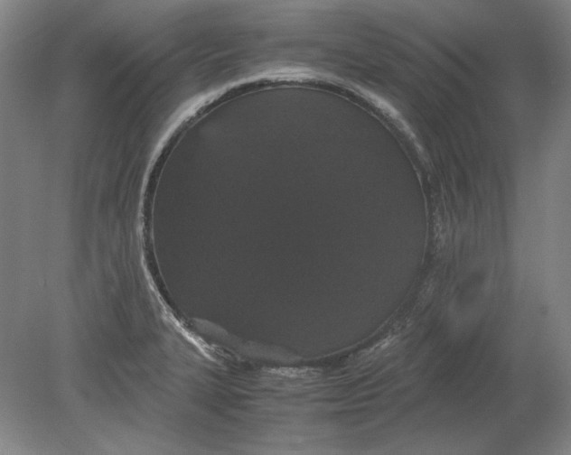 X0000080731327200701021110