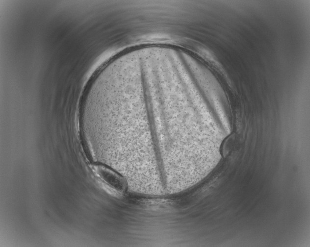 X0000080731328200701021110