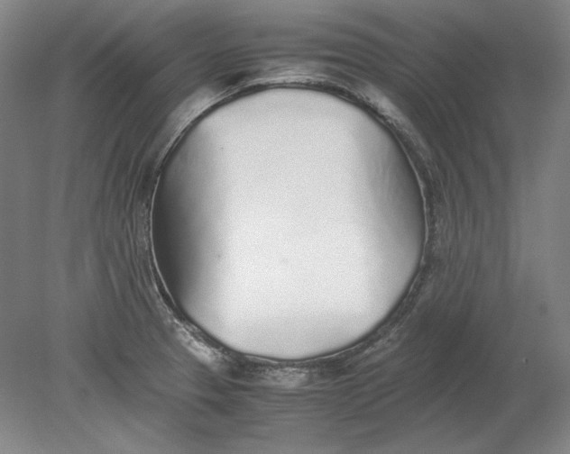 X0000080731329200701021110