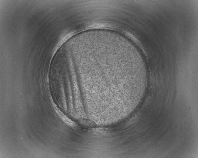 X0000080731330200701021110