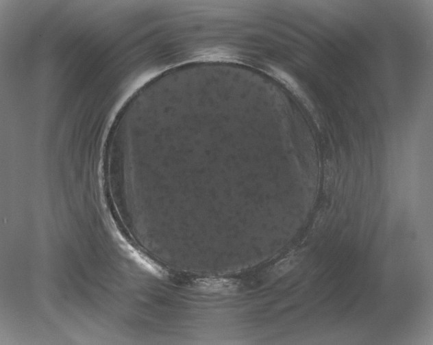 X0000080731331200701021110