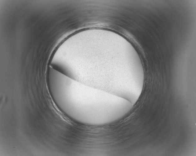 X0000080731332200701021110