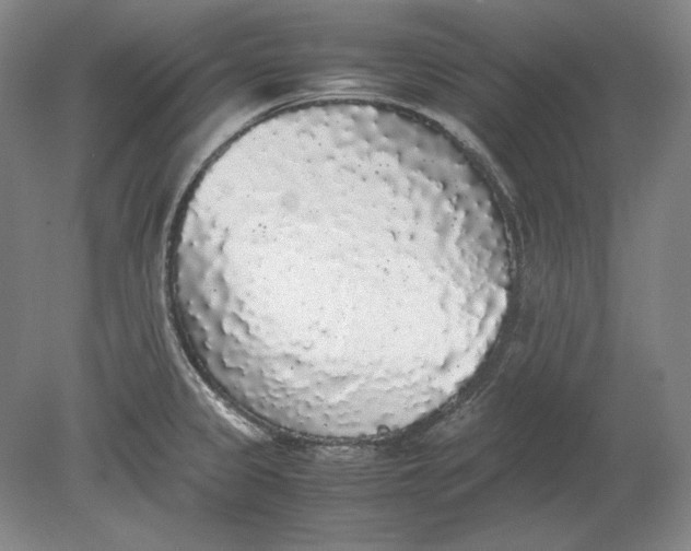 X0000080731333200701021110