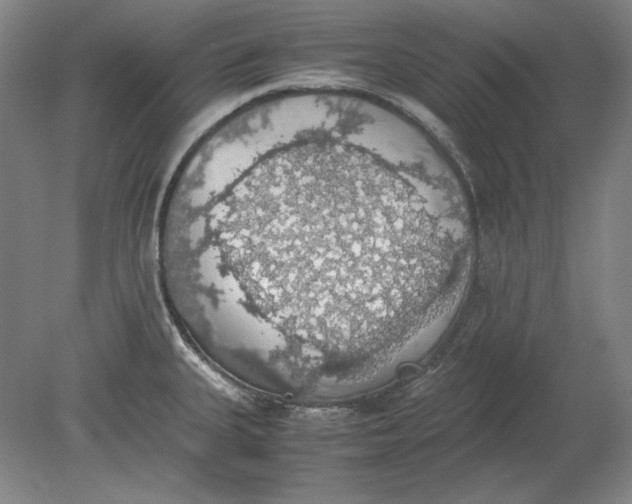 X0000080731335200701021110