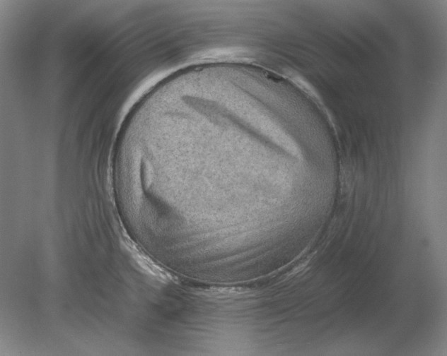 X0000080731336200701021110