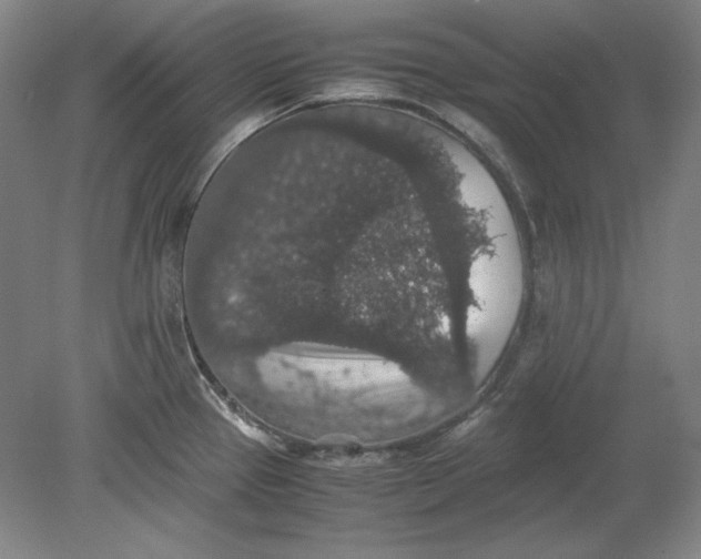 X0000080731337200701021110