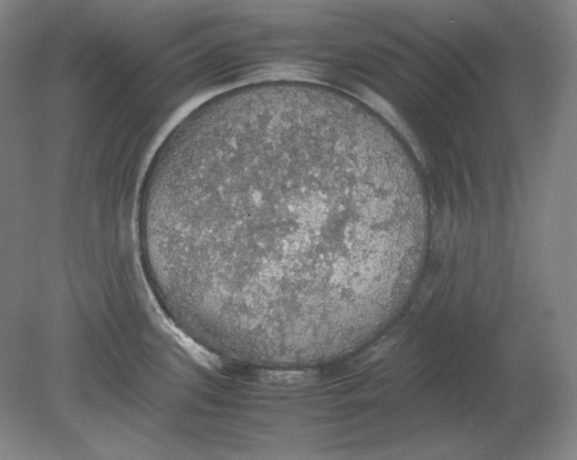 X0000080731339200701021110