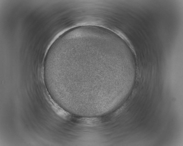 X0000080731340200701021110