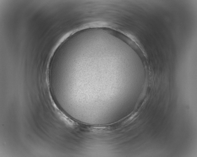 X0000080731342200701021110