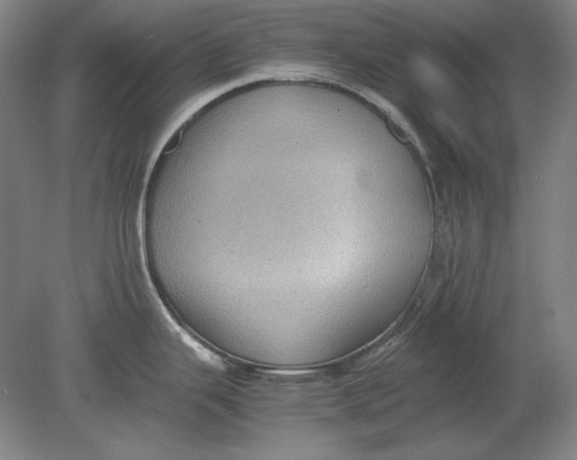 X0000080731343200701021110