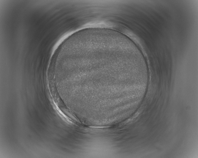 X0000080731344200701021110