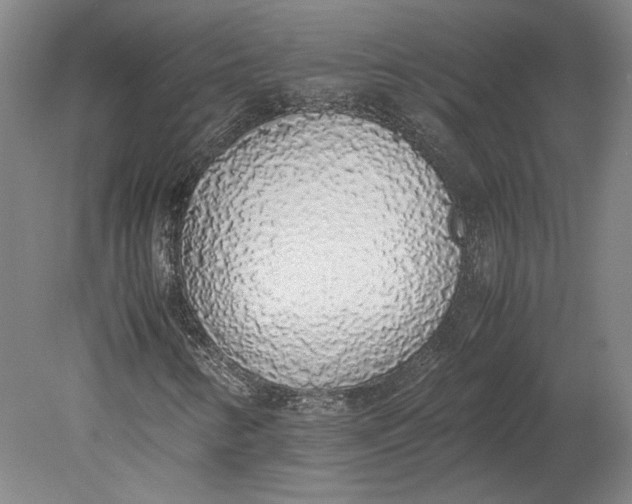 X0000080731346200701021109