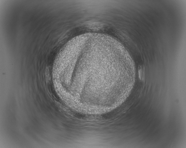 X0000080731347200701021109