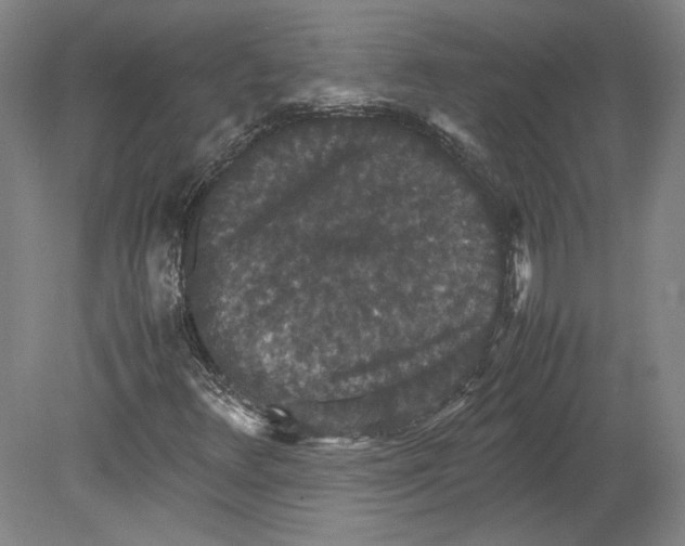 X0000080731348200701021109