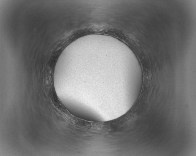 X0000080731349200701021109