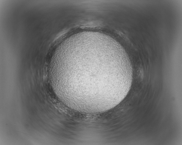 X0000080731350200701021109