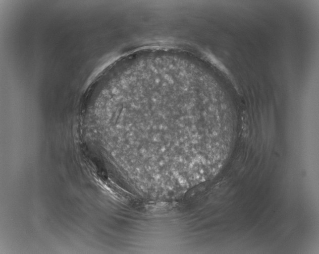 X0000080731352200701021109