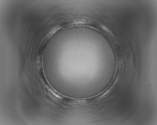 X0000080731353200701021109