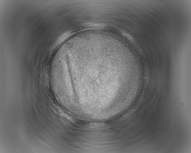 X0000080731354200701021109