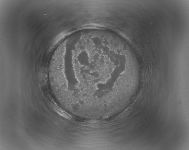 X0000080731355200701021109