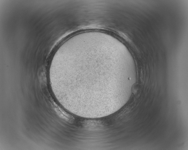 X0000080731356200701021109