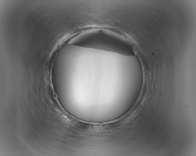 X0000080731357200701021109