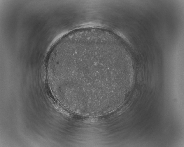 X0000080731358200701021109