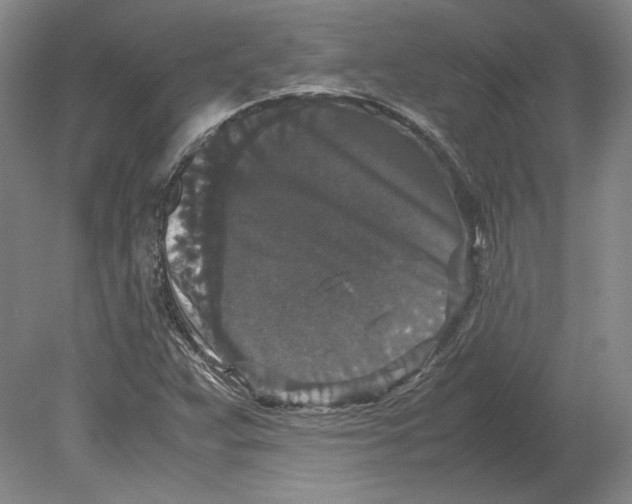 X0000080731359200701021109