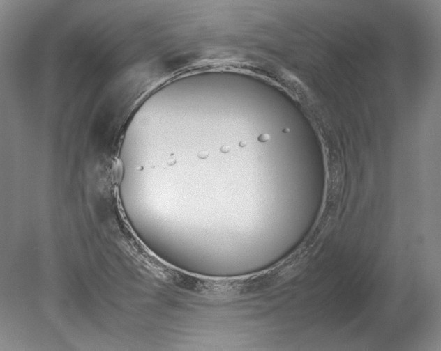 X0000080731361200701021109