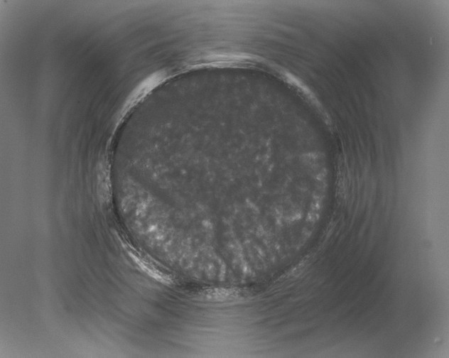 X0000080731362200701021109