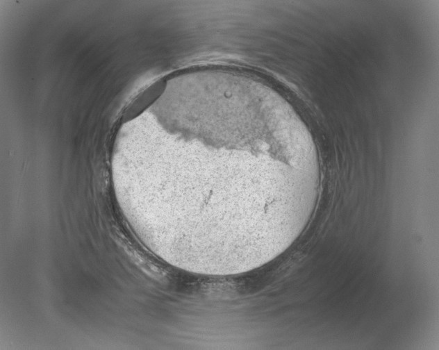 X0000080731363200701021109