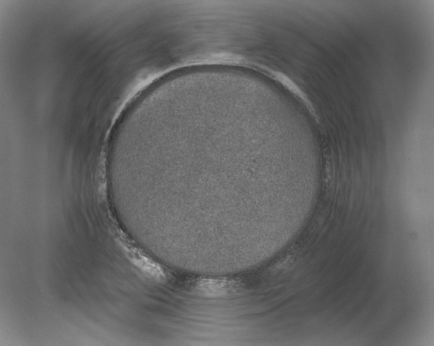 X0000080731364200701021109