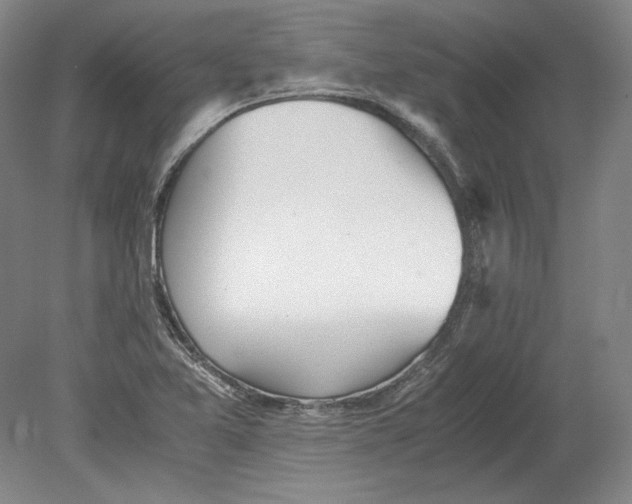 X0000080731365200701021109