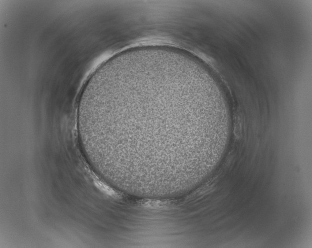 X0000080731366200701021109