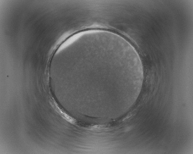 X0000080731367200701021109